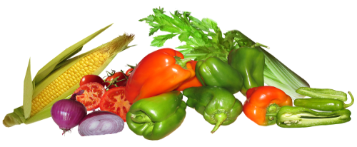 silvestre chicken fresh vegetables